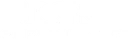 CORE Surveillance
